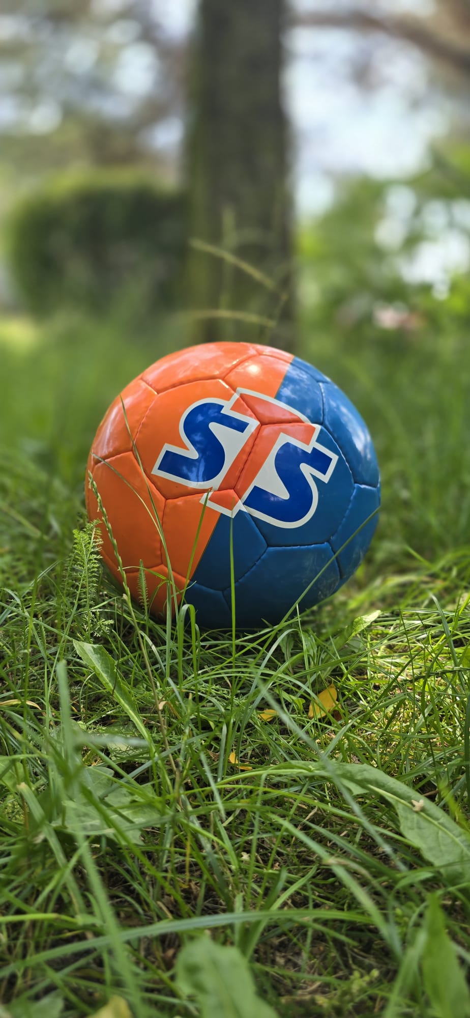 18136939-95b4-4229-a894-2d43a16689cf