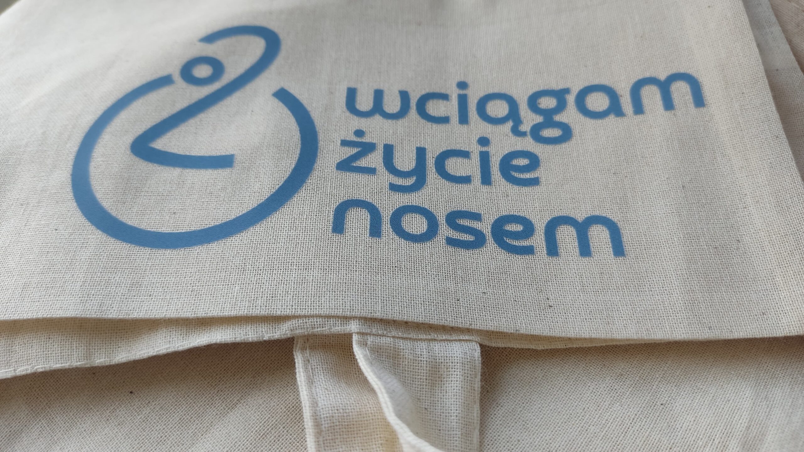 3daa6ea7-1221-492b-8742-17b4d2bee279