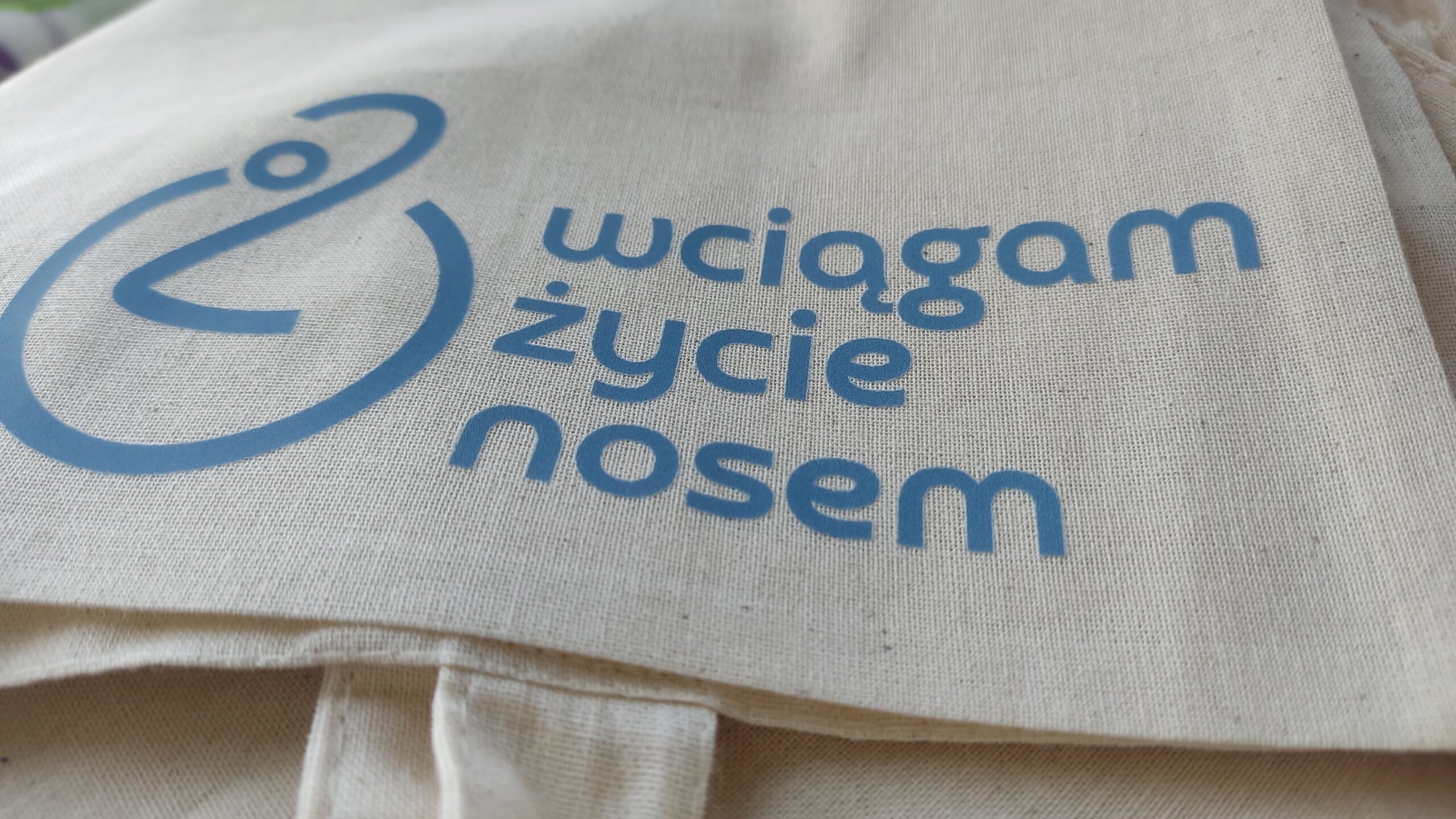 6ca7b62e-e5dc-4b0b-9d47-11fd5498e0f2